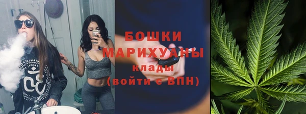 PSILOCYBIN Абаза