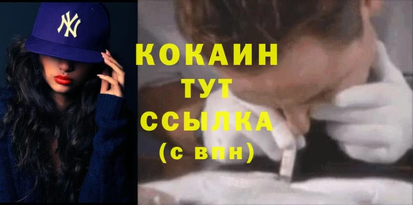 PSILOCYBIN Абаза