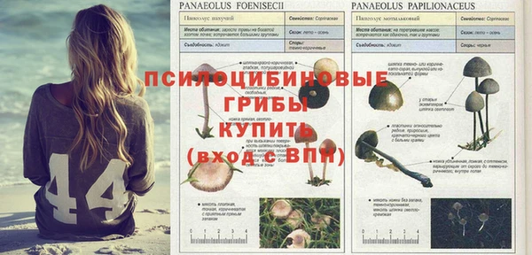 PSILOCYBIN Абинск