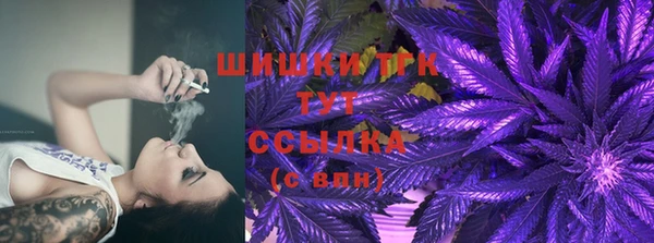 PSILOCYBIN Абаза