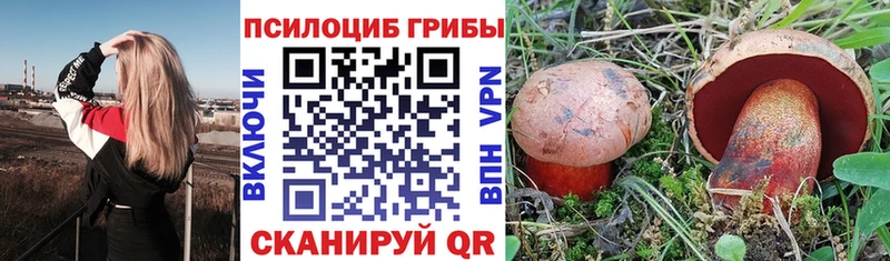 Галлюциногенные грибы Psilocybine cubensis  Богородск 